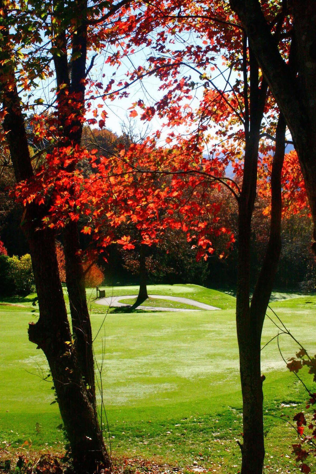 Peppertree Maggie Valley Aparthotel Exterior foto